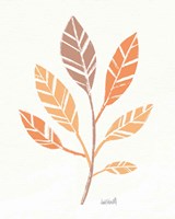 Framed Botanical Sketches III Spice