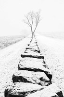 Framed Snowy Stone Wall