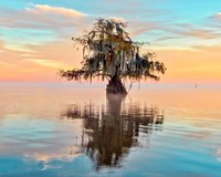 Framed Lake Maurepas in Pastels