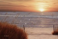 Framed Beach Glory