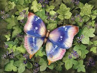 Framed Garden Butterfly