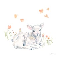 Framed Spring Lambs III