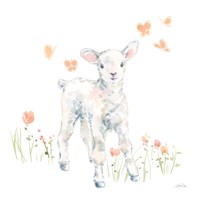 Framed 'Spring Lambs I' border=
