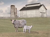 Framed Momma and Baby Cow