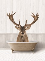 Framed Bath Time Deer