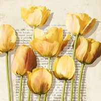 Framed 'Histoires de Tulipes (detail)' border=