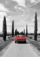 Framed Sportscar in Tuscany (BW)