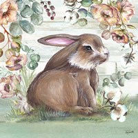 Framed 'Farmhouse Bunny I' border=