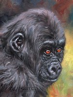 Framed Baby Gorilla86