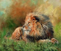Framed Lion Full Of Grace