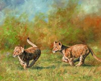 Framed Lion Cubs Running