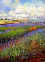 Framed Lavender Field
