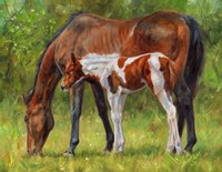 Framed Horse And Foal Grazing