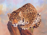 Framed Jaguar On Tree Stump