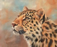 Framed Leopard Study 3