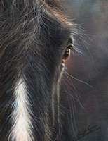 Framed Horse Portrait