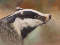 Framed Badger Study