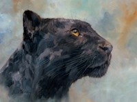 Framed Panther Gaze Up