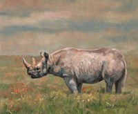 Framed Black Rhino