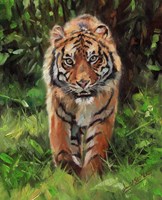 Framed Tiger Prowling