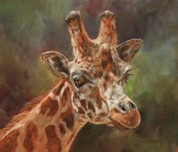 Framed Giraffe Portrait 2