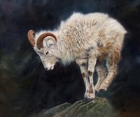 Framed Mountain Goat