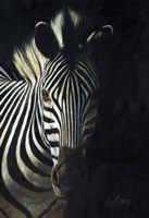 Framed Zebra Fade To Black