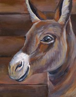 Framed Barn Donkey