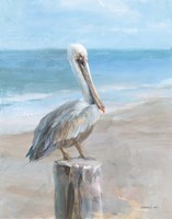 Framed Pelican by the Sea