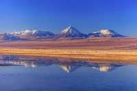 Framed Licancabur Stratovolcano Reflected in Laguna Tebinquinche, Chile