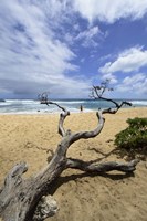 Framed Driftwood and Surfer on a Beach in Oahu, Hawaii