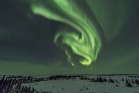 Framed Swirls of Auroral Curtains in the Northeast Sky, Churchill