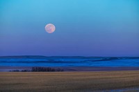 Framed Rising Full Moon Over the Alberta Prairie