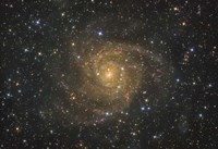 Framed Intermediate Spiral Galaxy IC 342