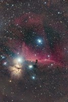 Framed Horsehead Nebula and Flame Nebula