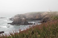 Framed Coastal Fog II