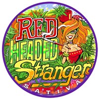 Framed Red Headed Stranger