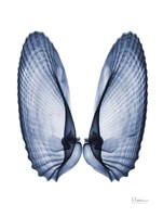 Framed Angel Wings
