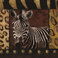 Framed Zebra bordered