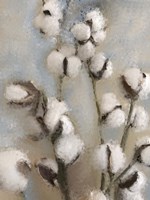 Framed Sprays of Cotton 1