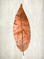 Framed Copper Leaves 1