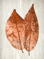 Framed Copper Leaves 2