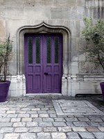Framed Purple Door 4