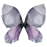 Framed Floral Butterfly 3