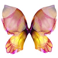 Framed Floral Butterfly 4