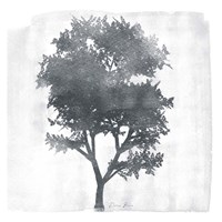 Framed Tree 2