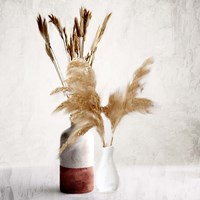 Framed Dried Autumn Vases