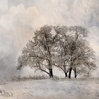 Framed Winter Frost 2
