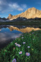 Framed Pronghorn and Dragon Head Peaks