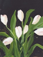 Framed White Tulips on Black (1)